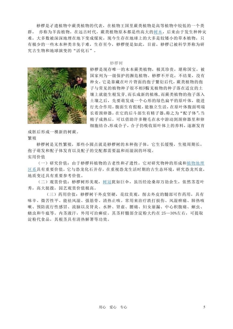 七年级生物上册 《藻类、苔藓和蕨类植物》的教学设计 人教新课标版_第5页