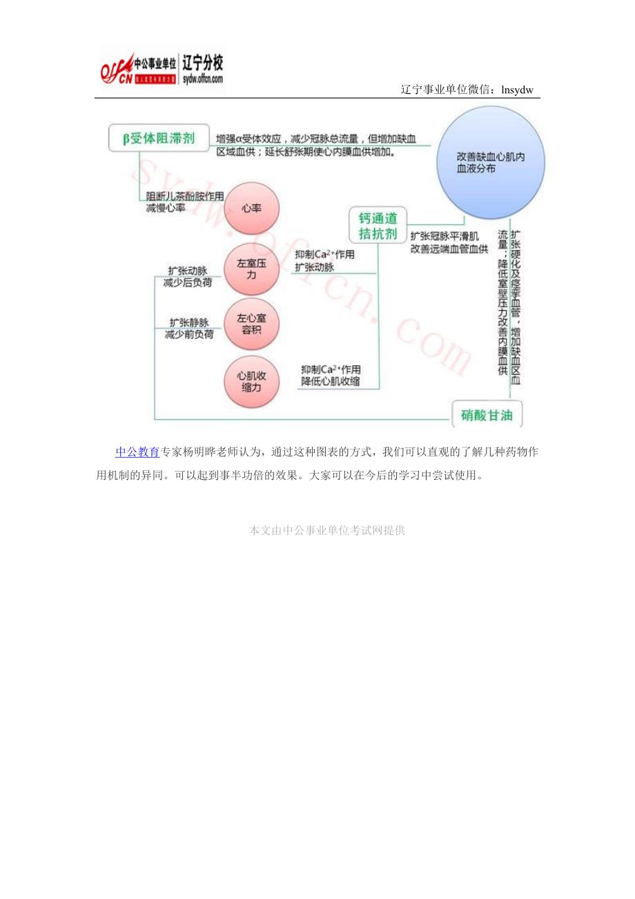 卫生专业知识—抗心绞痛药物的作用机制_第2页