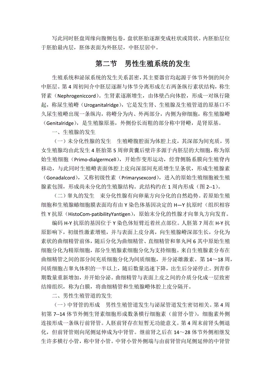 第二章  男性生殖系统胚胎组织学_第2页