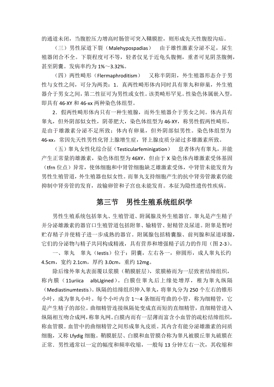 第二章  男性生殖系统胚胎组织学_第4页