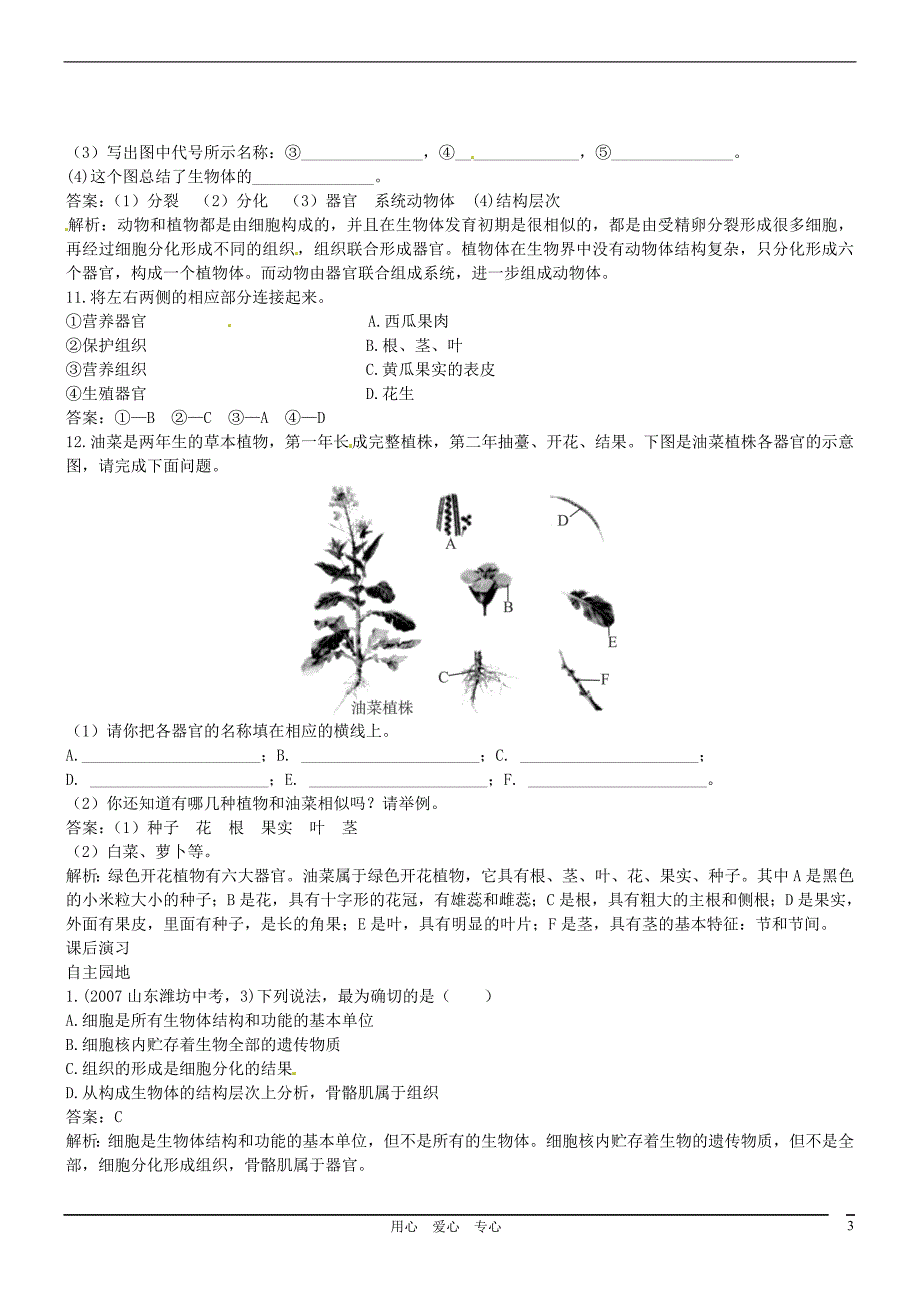 七年级生物上册 1.5多细胞生物体同步精练（解析版） 冀少版_第3页