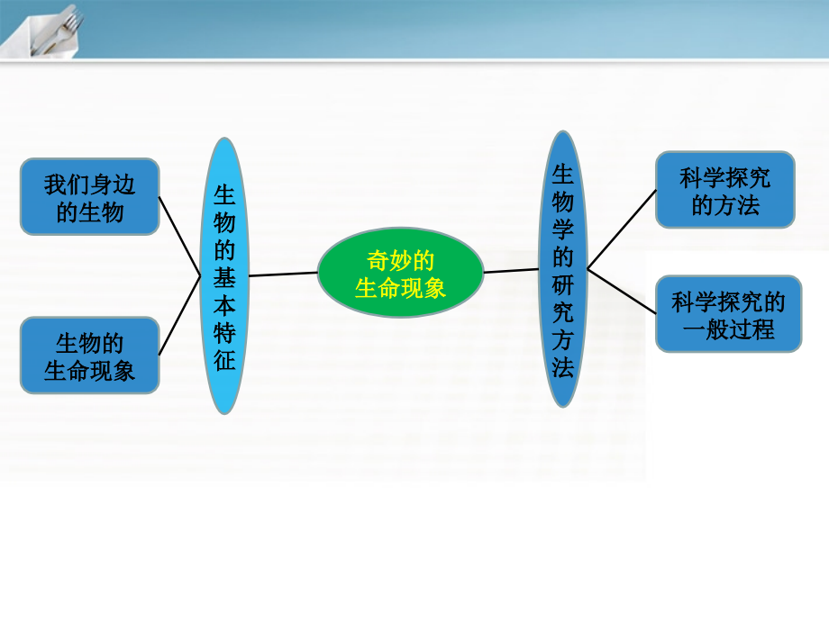 七年级生物上册 第一单元认识生物课件 济南版_第3页