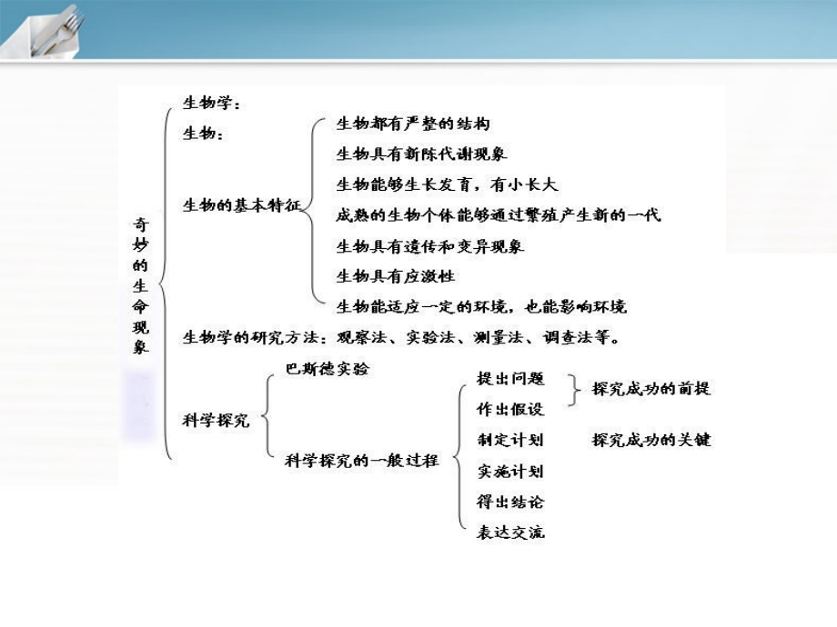 七年级生物上册 第一单元认识生物课件 济南版_第4页