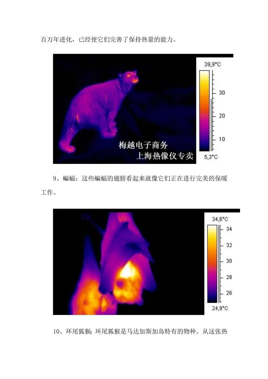 用热成像仪看到的动物图片_第5页