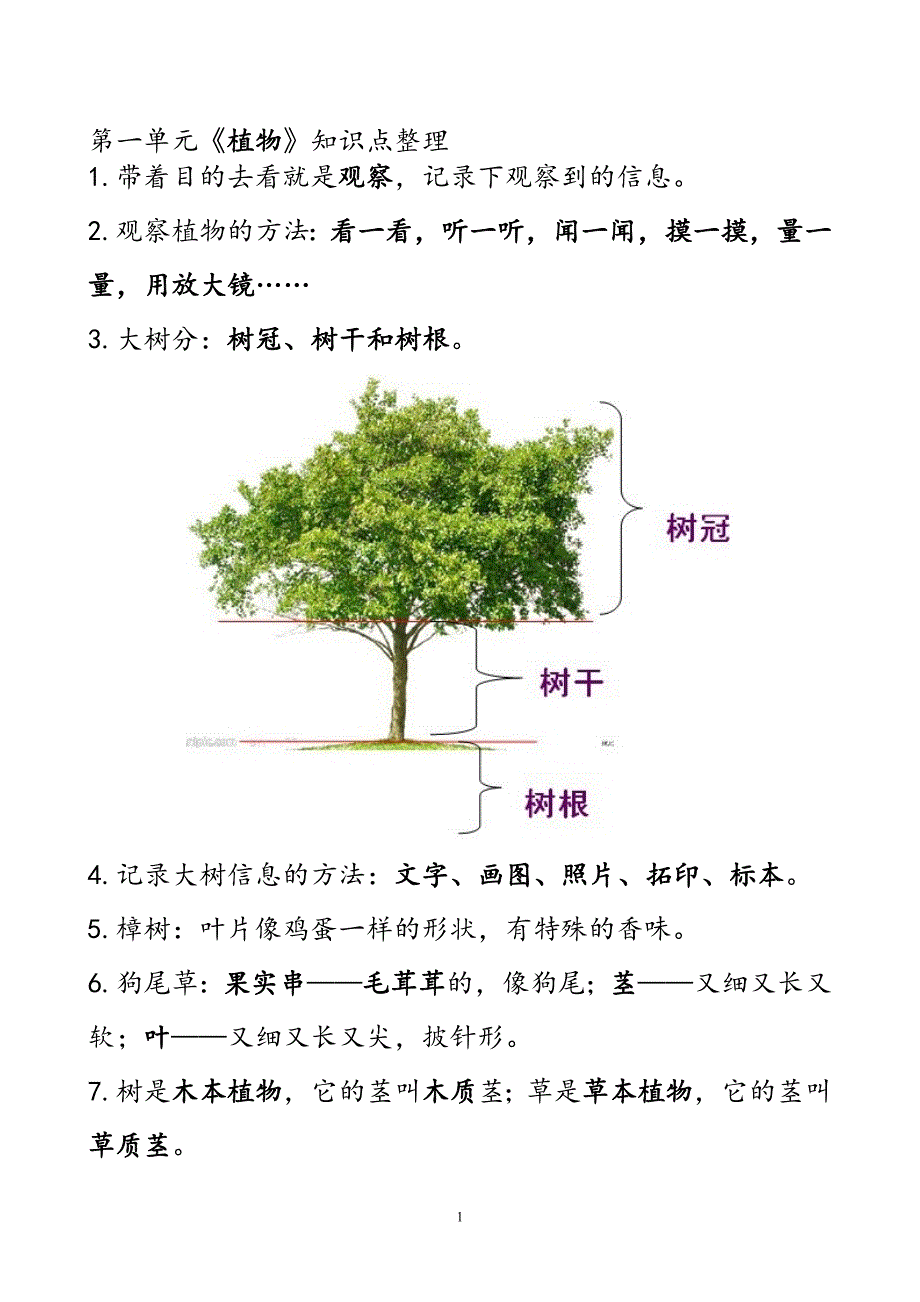 科学三年级上册图片及资料_第1页