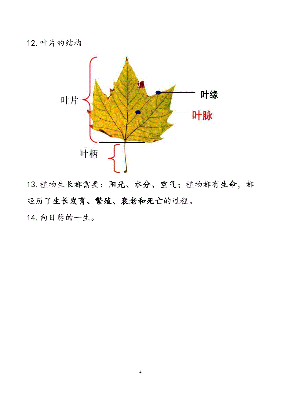 科学三年级上册图片及资料_第4页