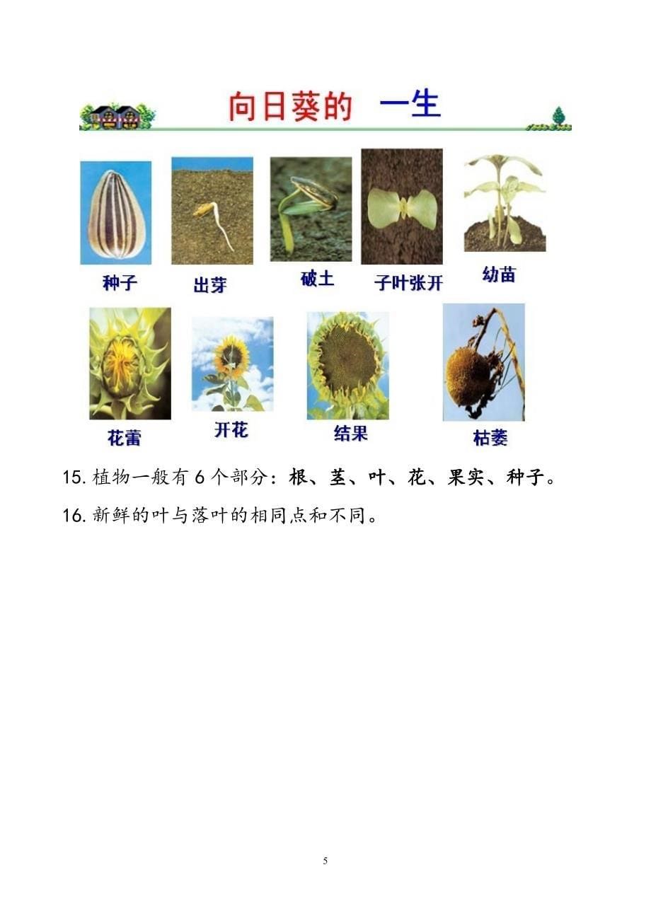 科学三年级上册图片及资料_第5页