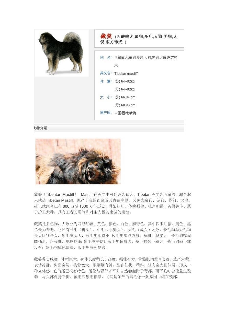 世界名犬大全之大型犬-带图_第5页