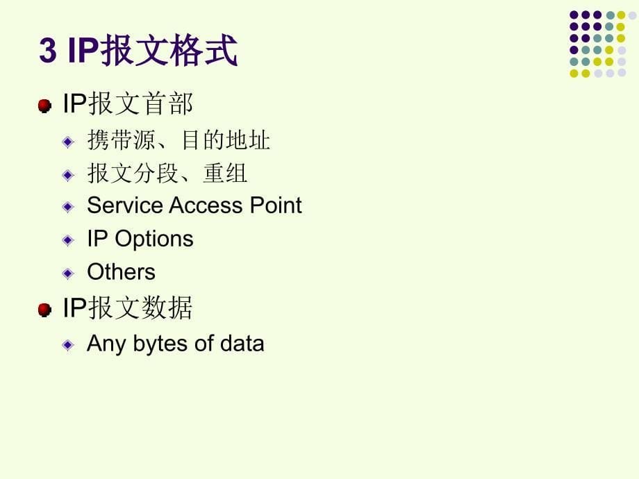 第七章IP协议,报文格式_第5页