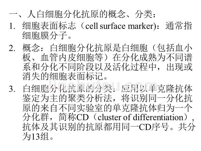 白细胞分化抗原2_第2页