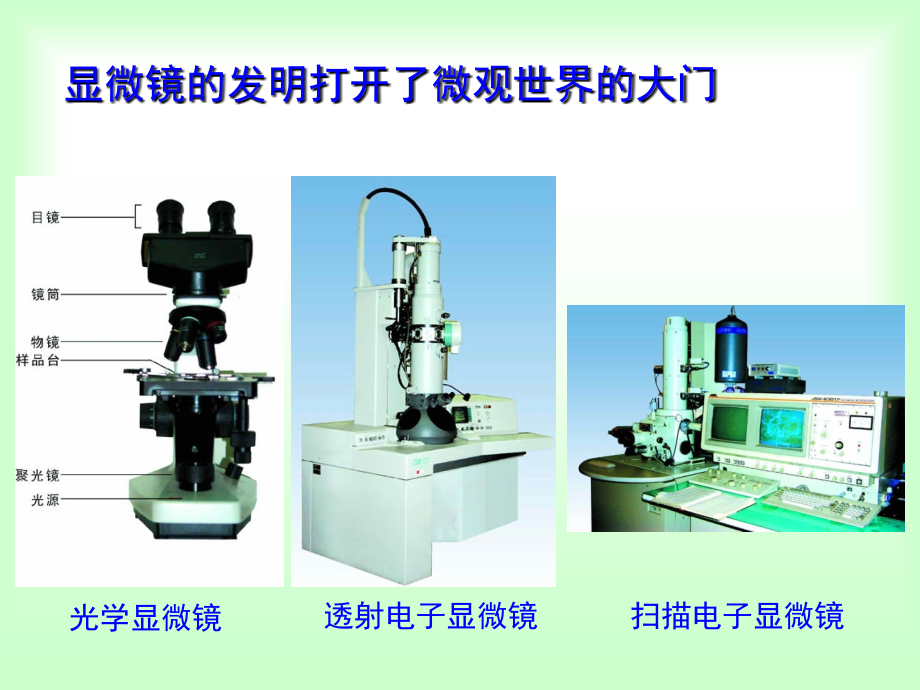 第三章细胞生物学研究方法_第4页