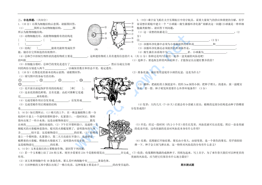 新人教版七年级上生物期末试题及答案_第2页