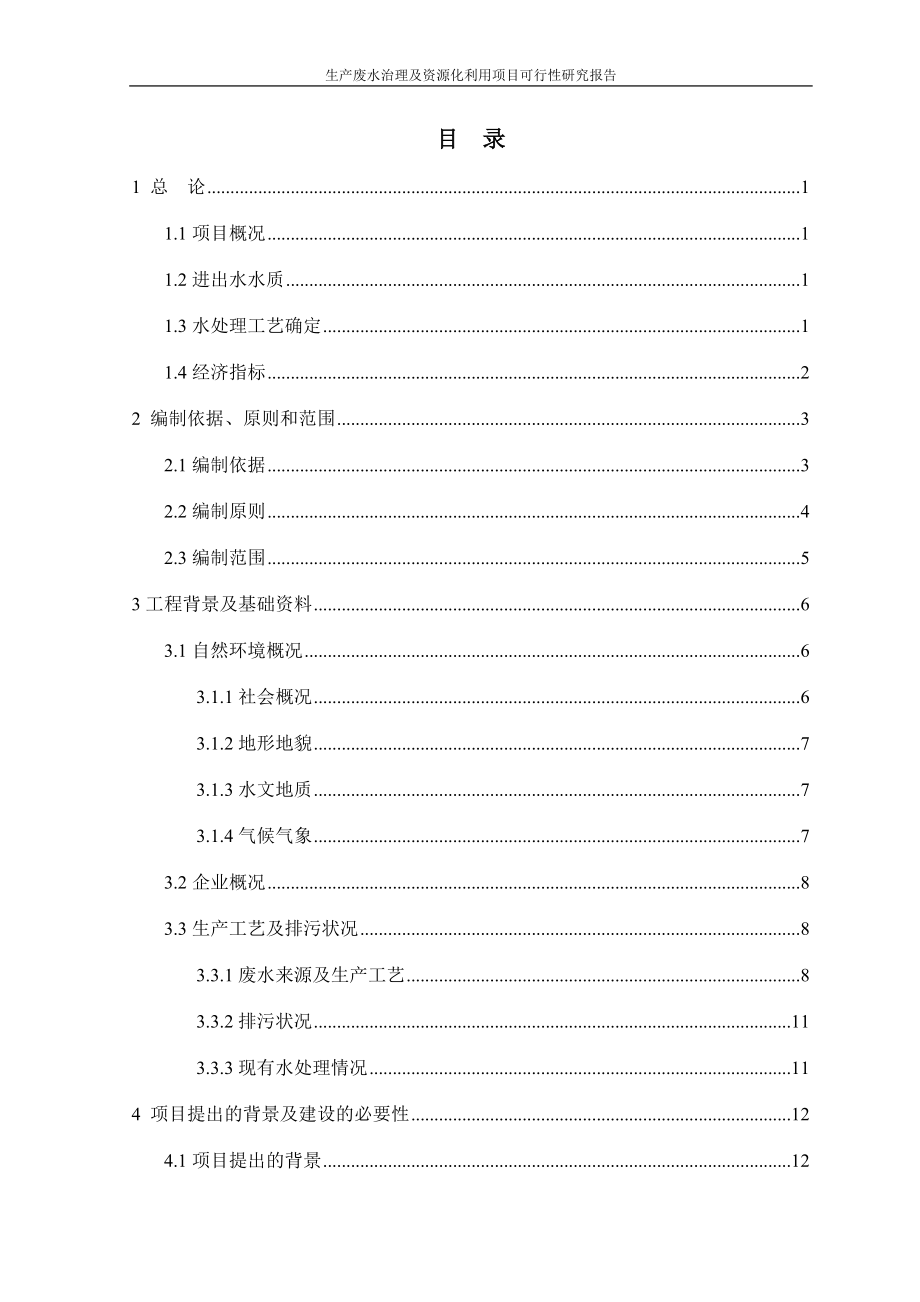 生产废水治理及资源化利用项目可行性研究报告_第2页