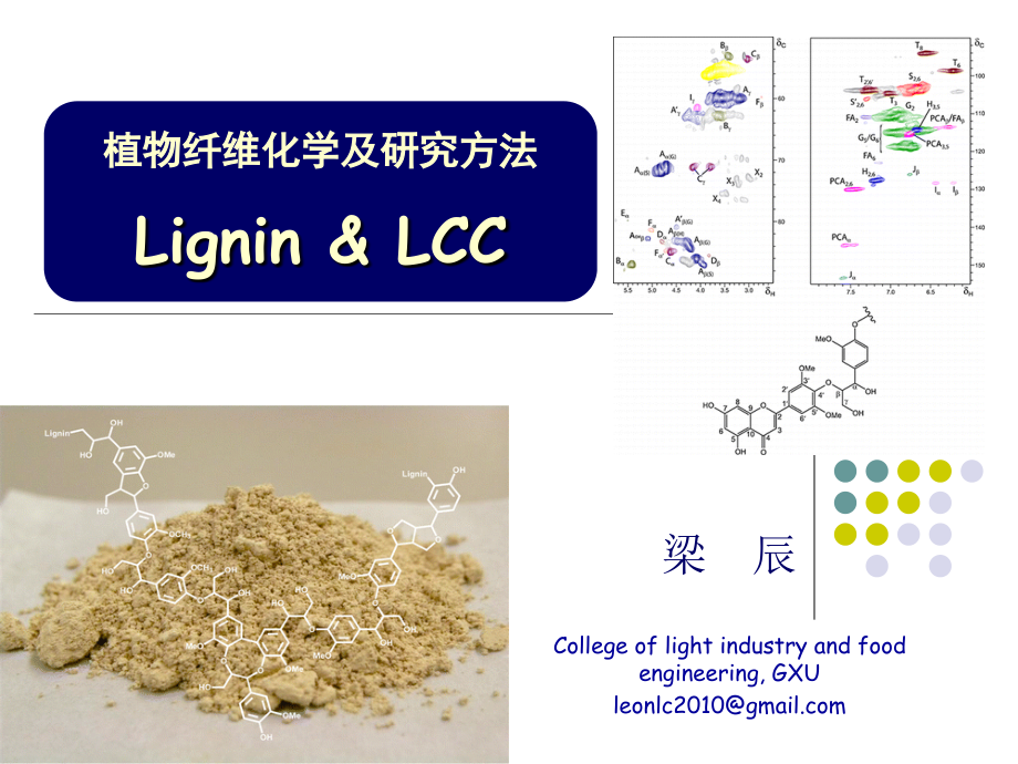 纤化及研究方法-木素_第1页