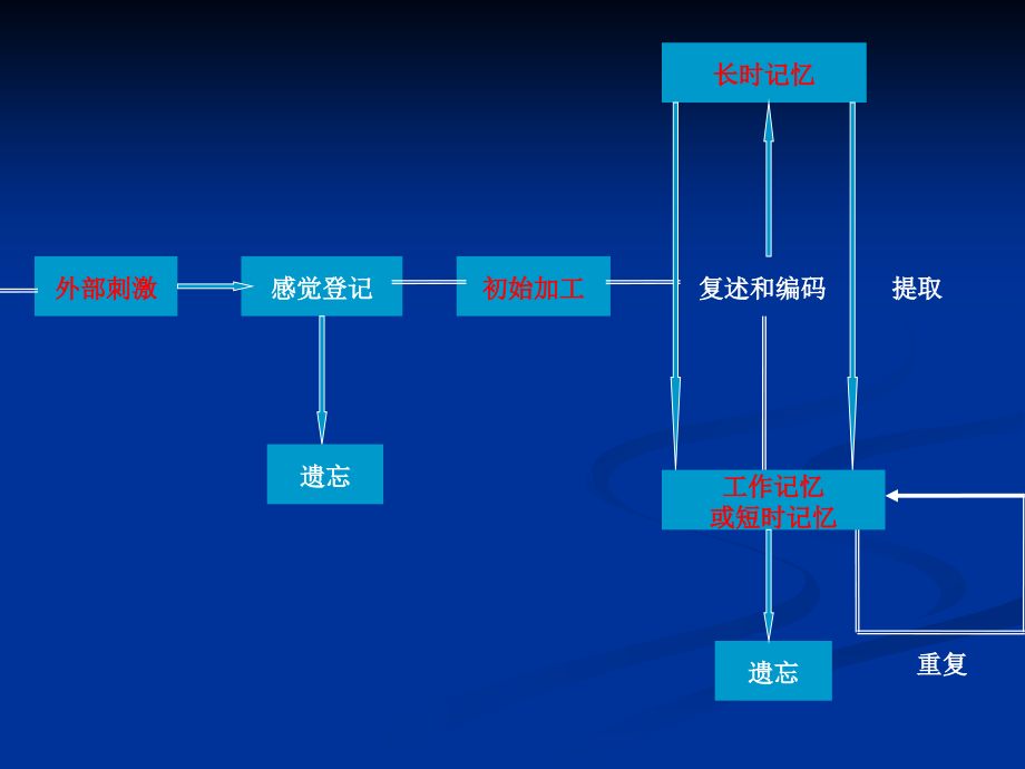 小学生学习过程的心理分析_第4页