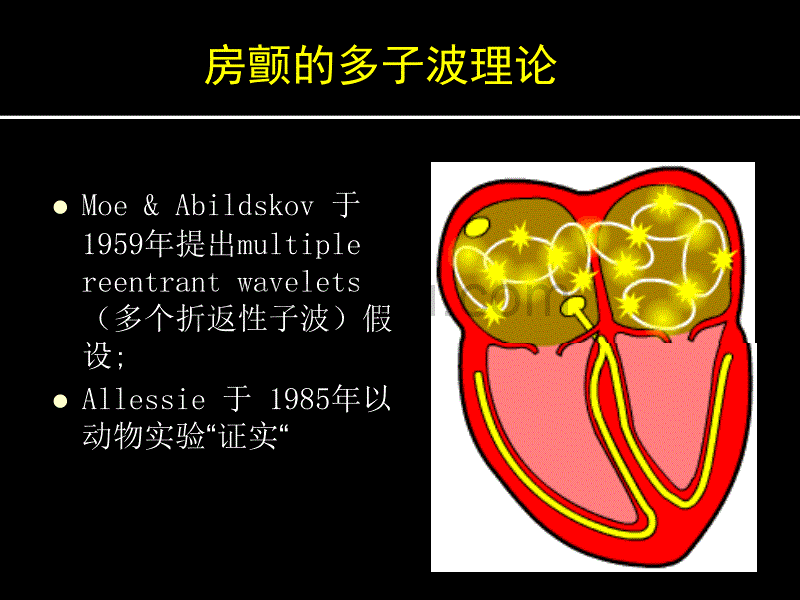 房颤机制及治疗策略-杨新春教授_第3页