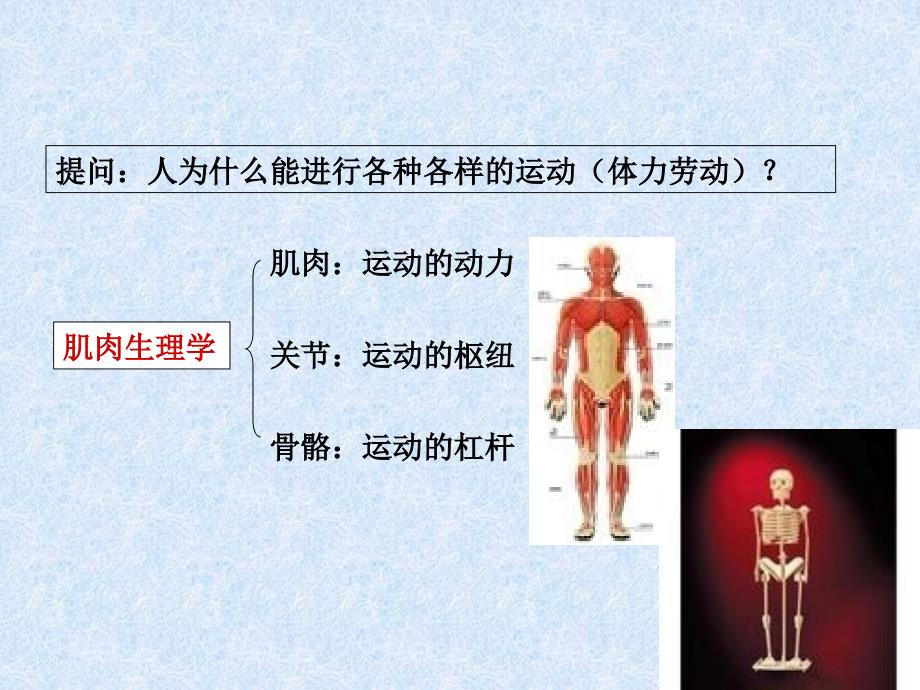 第二章劳动过程对人体的影响_第2页