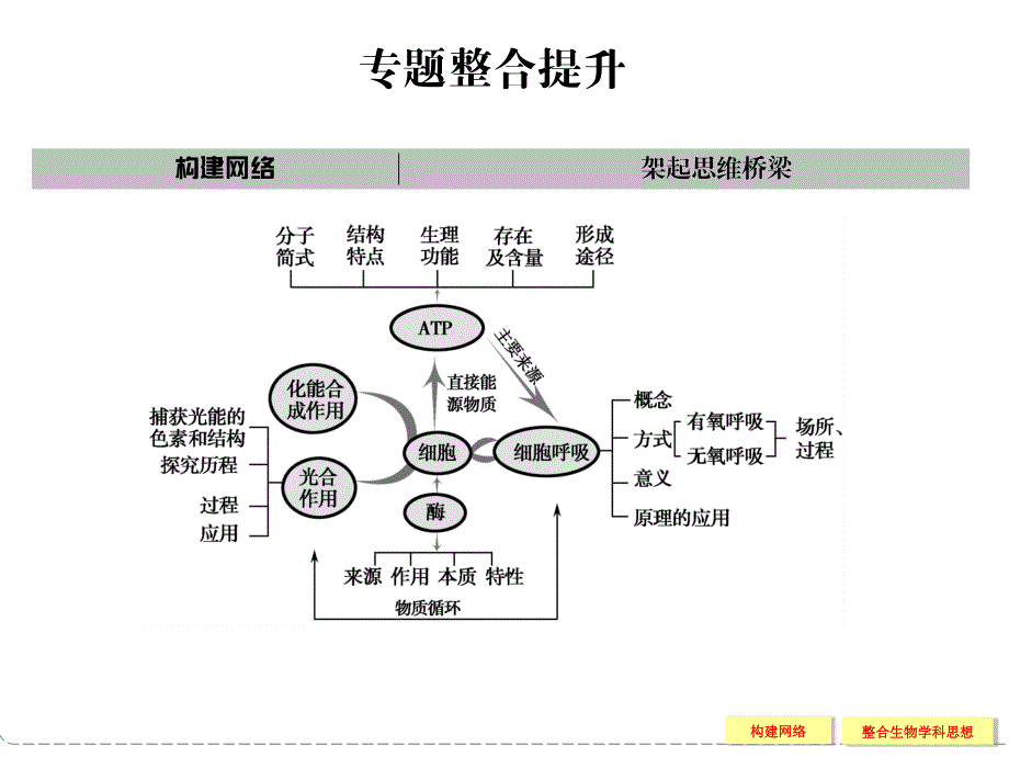 专题二细胞的代谢整合提升_第1页