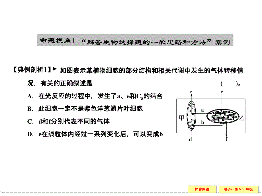 专题二细胞的代谢整合提升_第4页