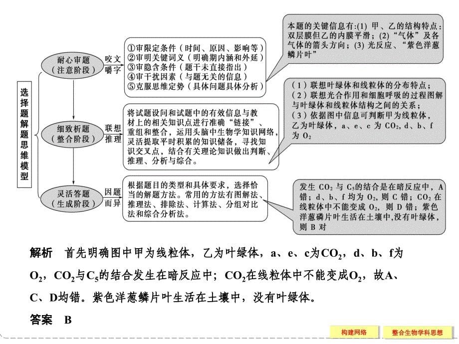 专题二细胞的代谢整合提升_第5页