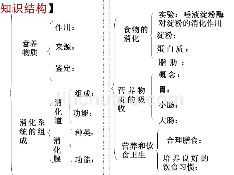 第三章人体的物质和能量来源食物_第3页