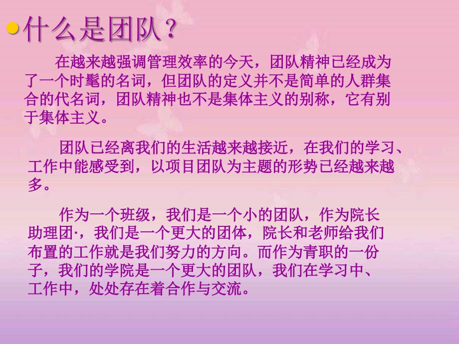 打造一个强有力的团队_第2页