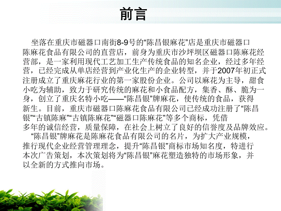 陈昌银麻花市场策划案_第2页
