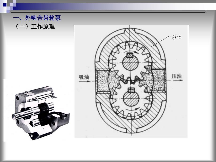 齿轮泵与单作用叶片泵_第3页