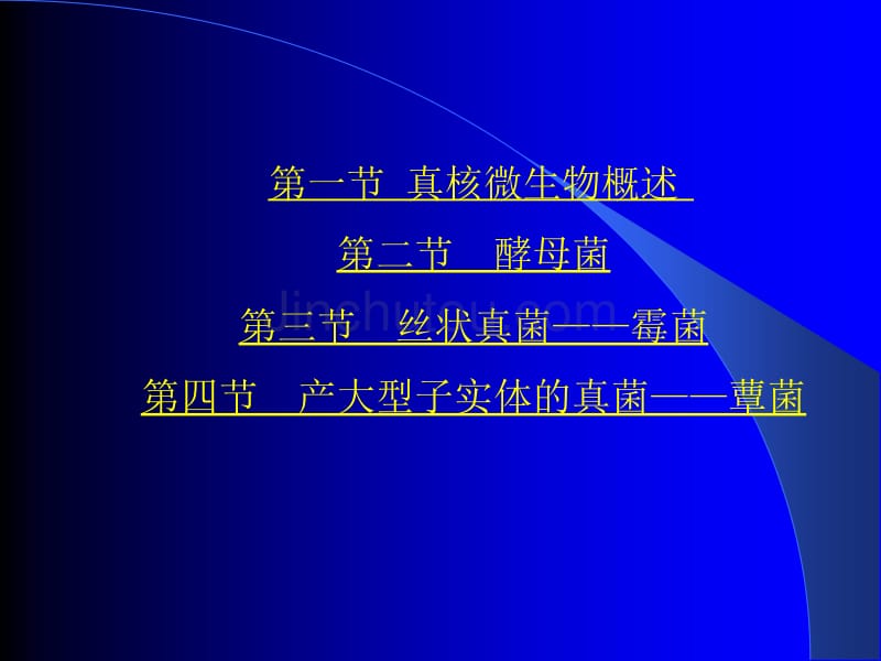 第二章真核微生物的类群与形态构造_第2页