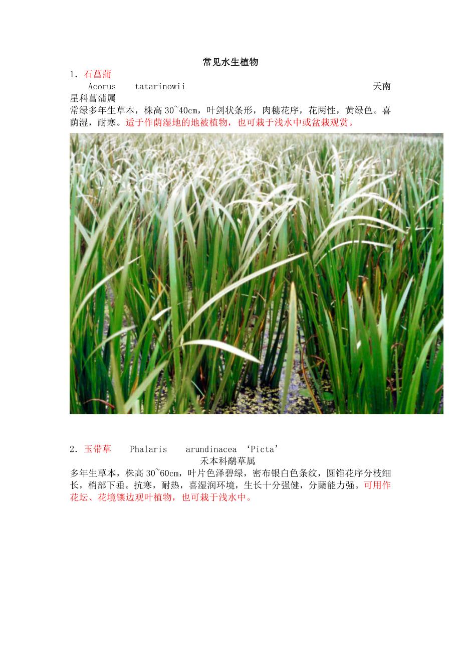 常见水生植物_第1页