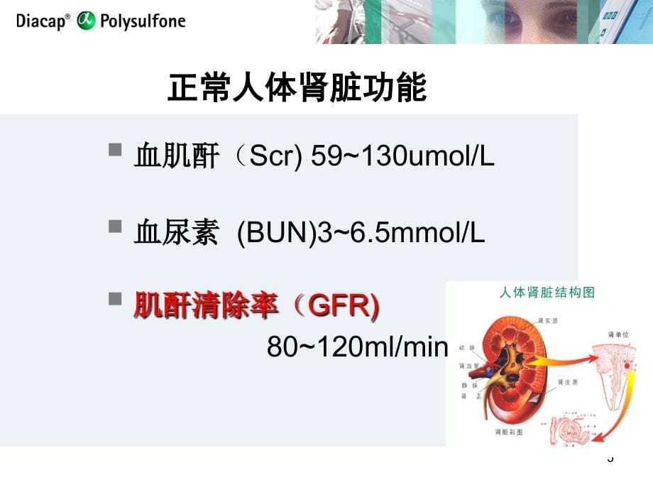 血液净化原理2(石家庄肾病)_第5页