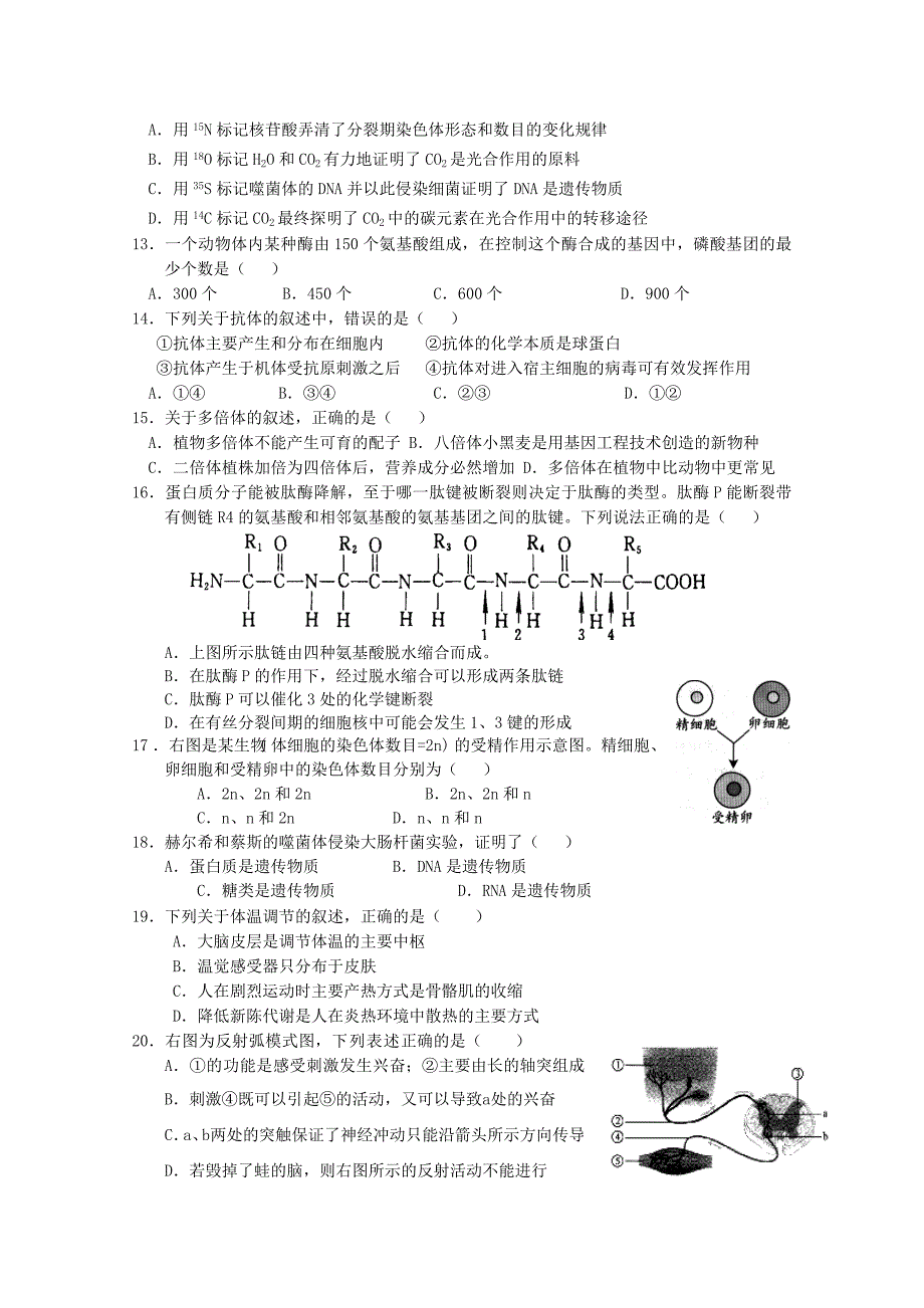 上海五校完中2011届高三上学期联考试卷（生物）生命科学_第3页