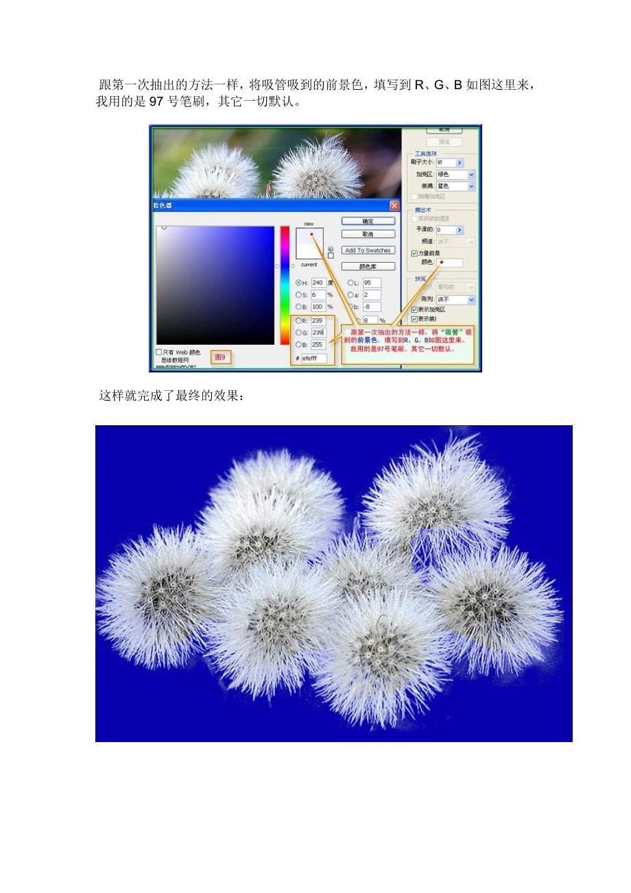 用PS对复杂图片进行抠图的方法_第5页