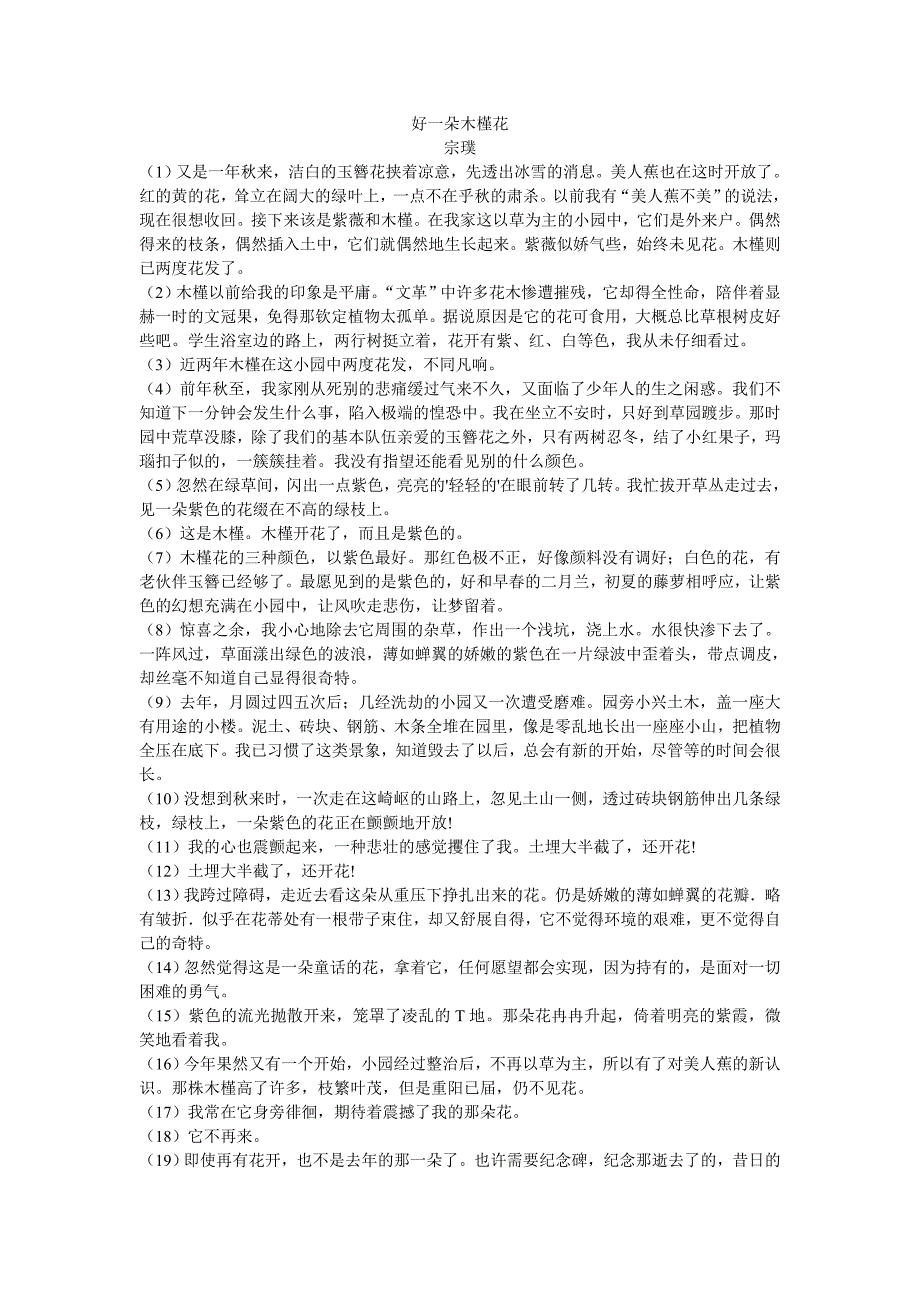 散文训练：好一朵木槿花_第1页