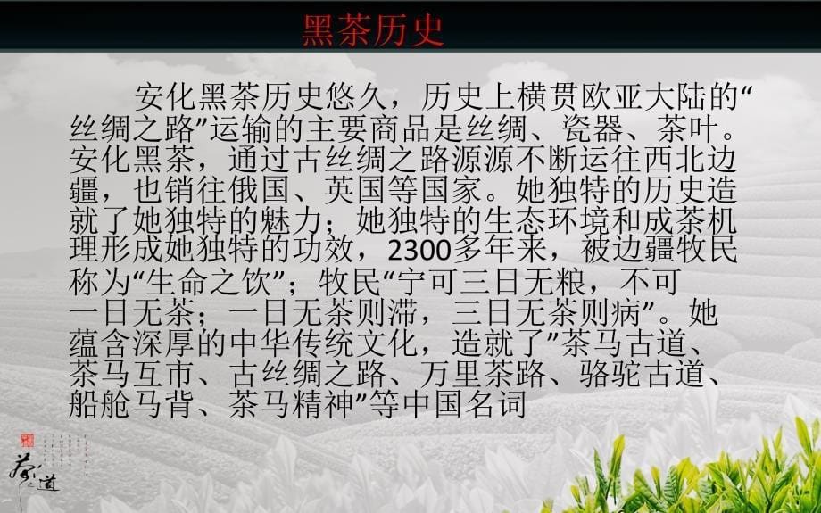 湖南益阳安化黑茶PPT_第5页