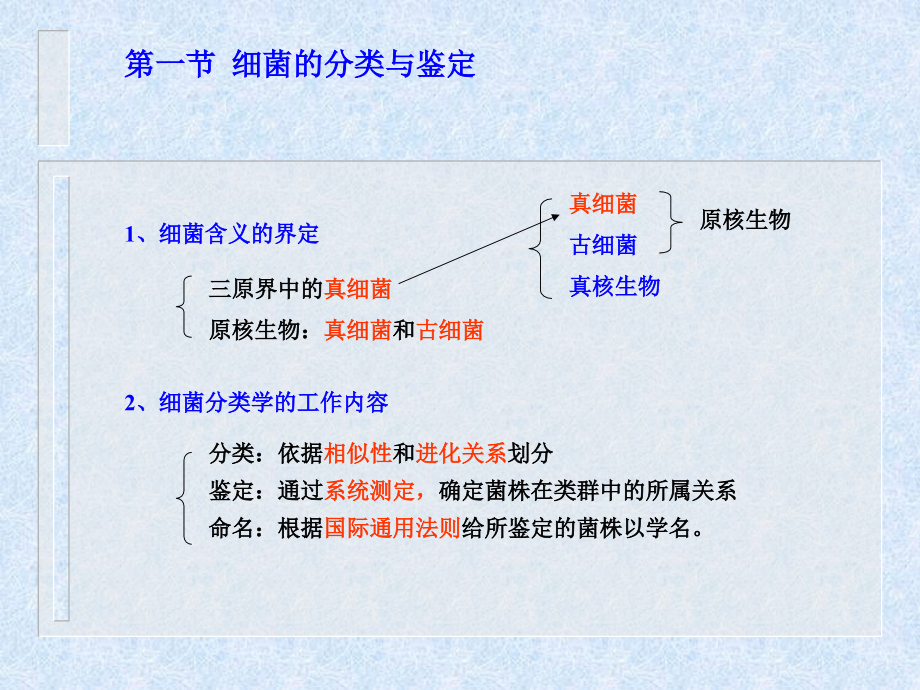 第二章原核微生物及其分类_第3页