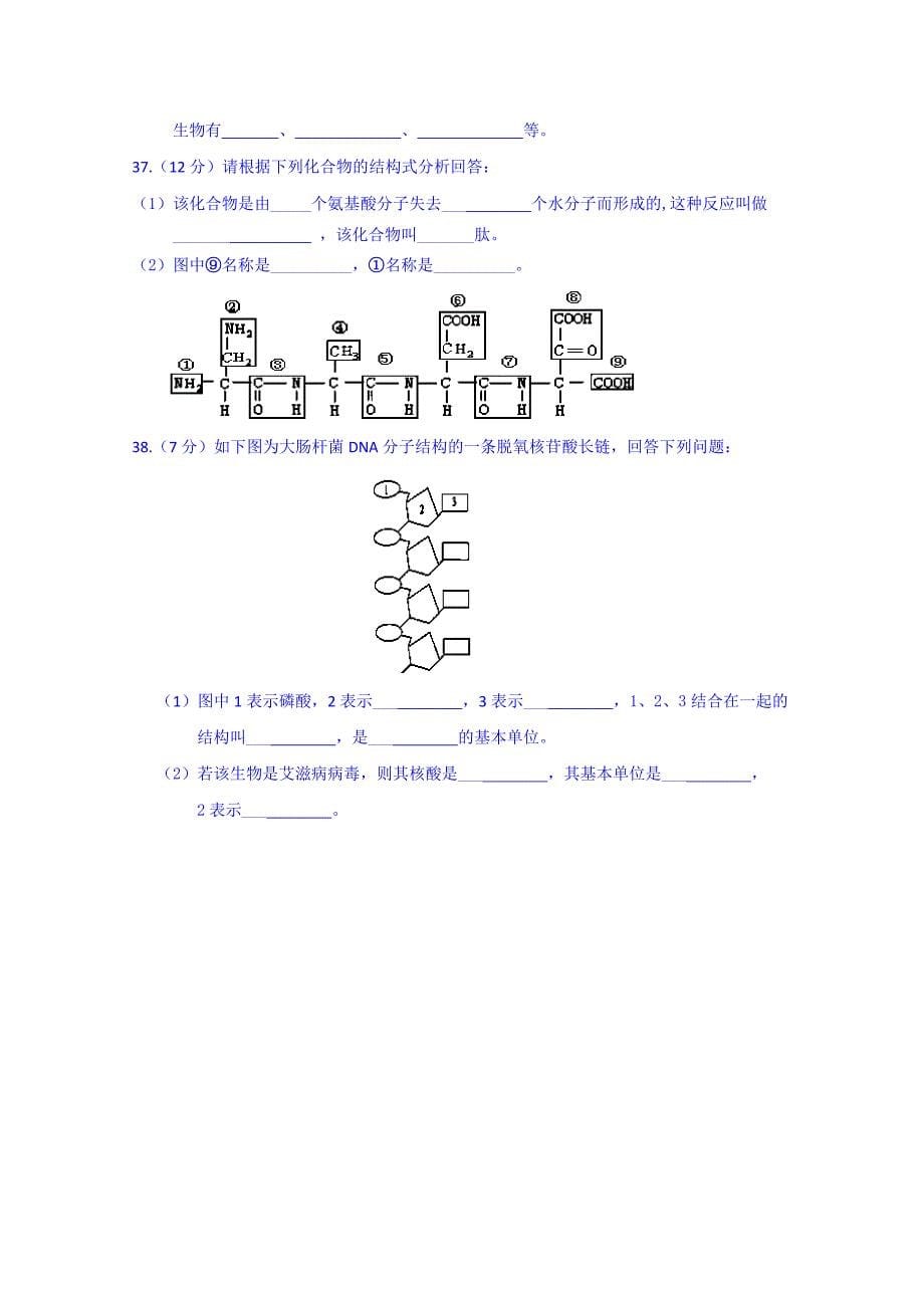 内蒙古2014-2015学年高一上学期期中考试生物试题（国际班） 含答案_第5页