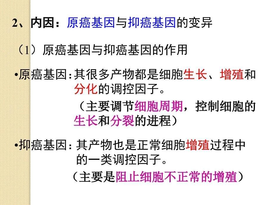 生物：5.3《关注癌症》课件(苏教版必修1)._第5页