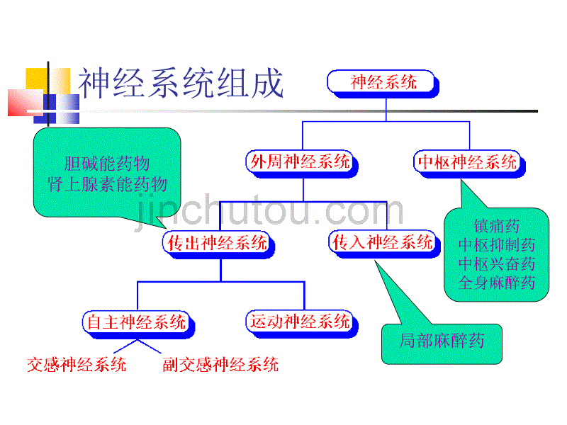 肾上腺素能受体作用药_第2页