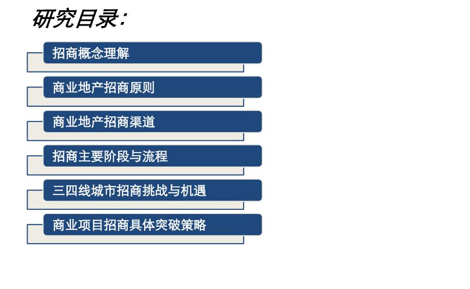 商业项目招商策略_第2页