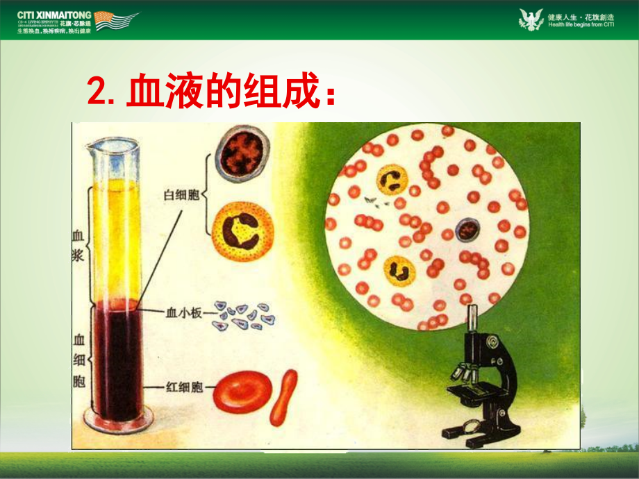 芯脉通幻灯片2009-10-13_第3页