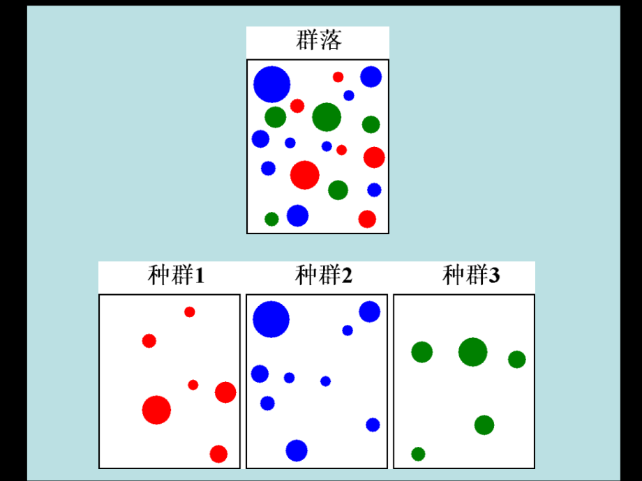 生物群落的组成及结构_第4页