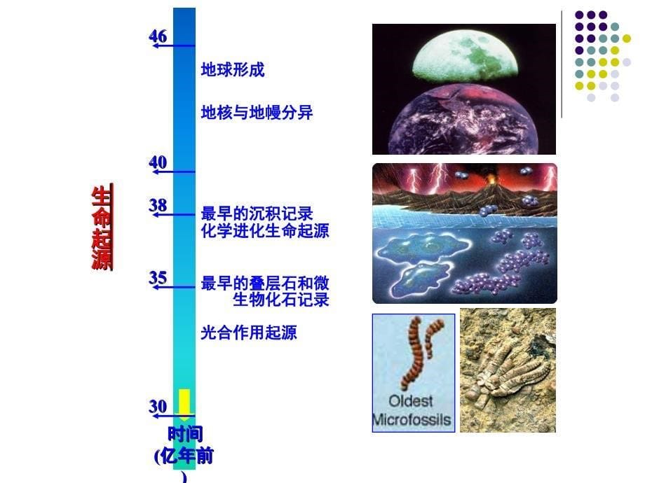 生物信息学3生物学基础_第5页