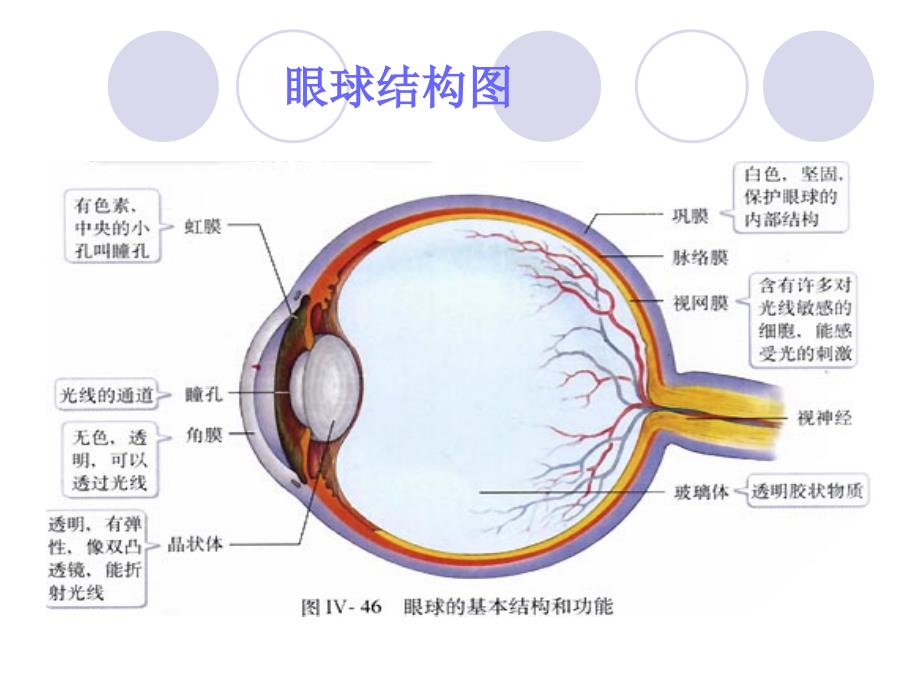 急性闭角型青光眼_第3页