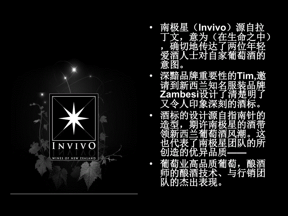 干白之王南极星Invivo长相思_第4页