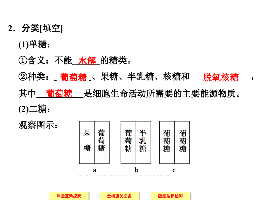 细胞中的糖类和脂质_第4页