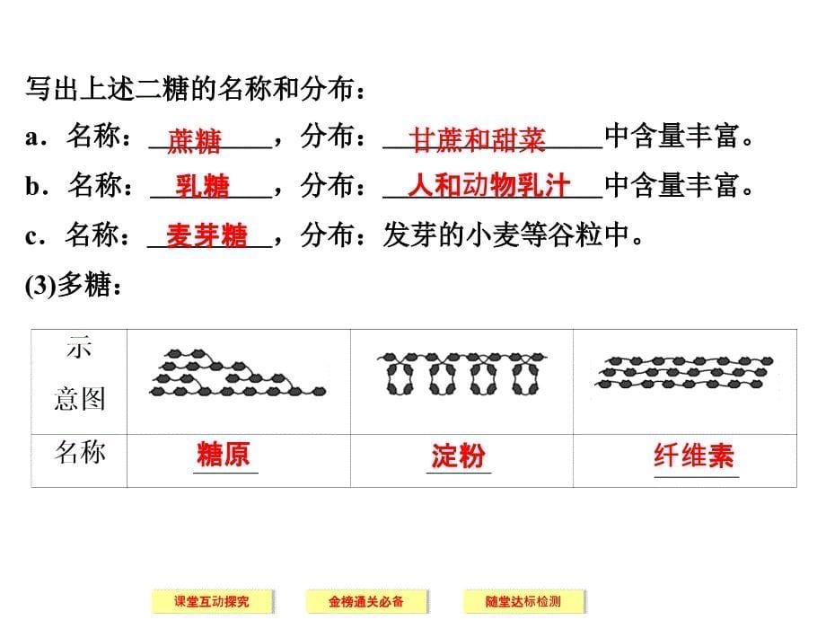 细胞中的糖类和脂质_第5页