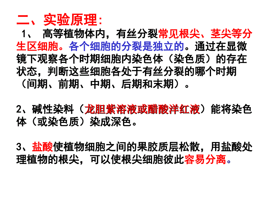 观察根尖分生组织细胞有丝分裂_第3页