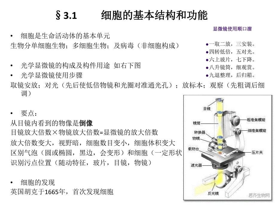 初一生物北师大版上册全_第5页