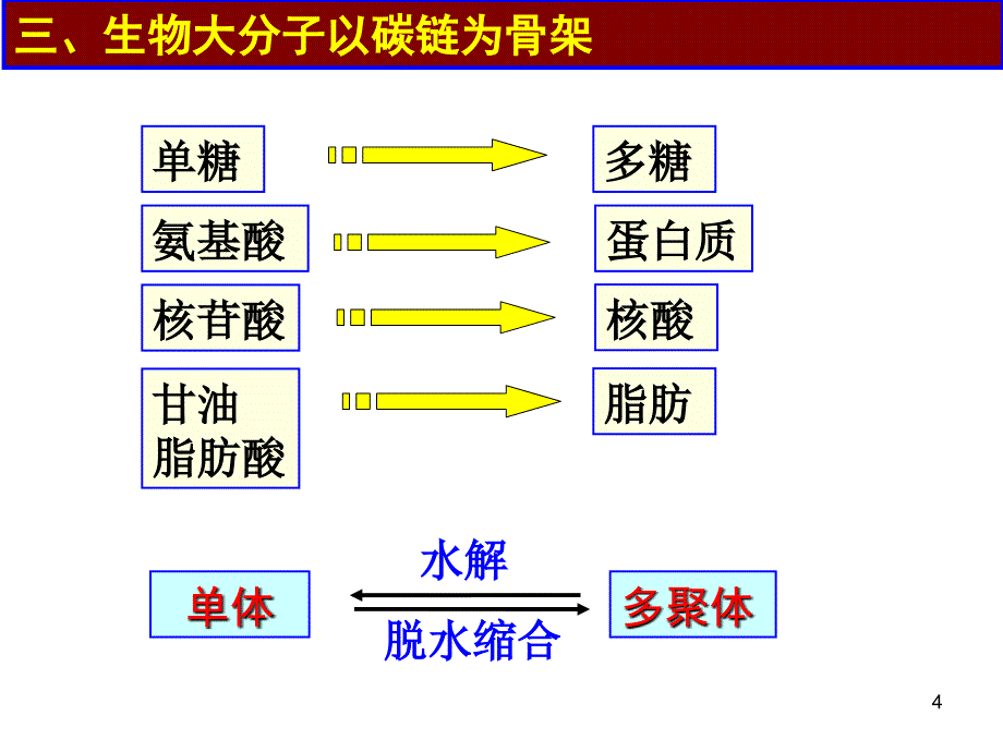 糖类脂质的种类和作用_第4页